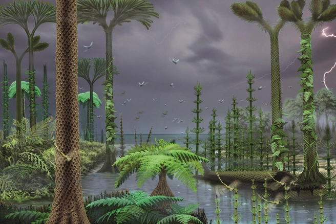 На островах росли «траво-деревья» | Источник: Михаил Шеханов