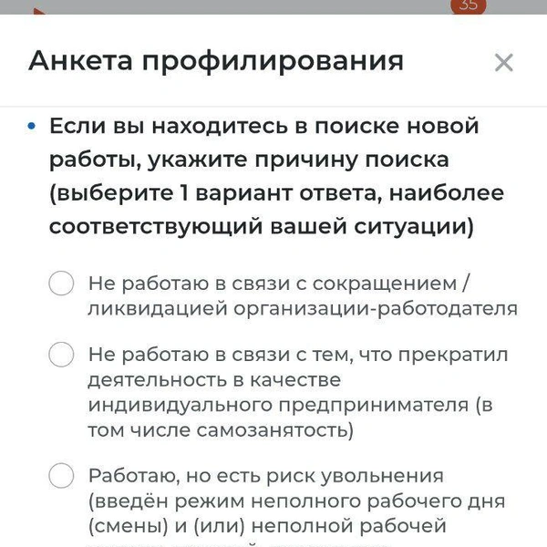 Источник: скриншот профилирования на портале «Моя работа» / trudvsem.ru