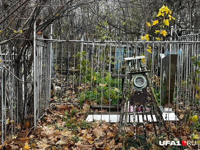 Источник: Екатерина Чижик / UFA1.RU