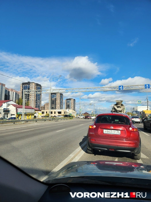 Источник: читательница Voronezh1.ru