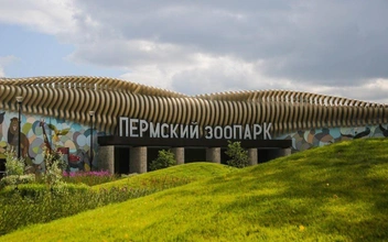 Скандал в новом Пермском зоопарке: медведя бьёт током у бассейна, посетители в шоке