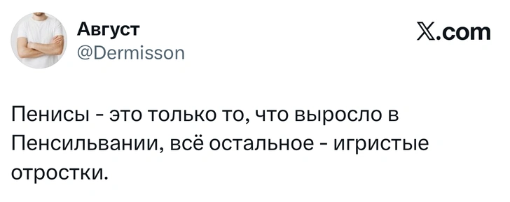 Источник: X (Twitter)