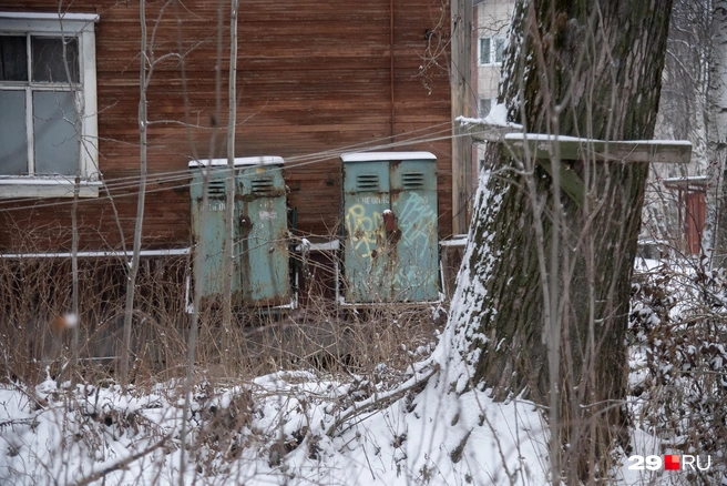 Источник: Иван Митюшёв / 29.RU