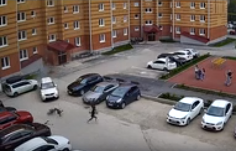В Челябинской области пьяный водитель снес крыльцо пятиэтажки, разбил две машины и чудом не задавил троих детей (видео)