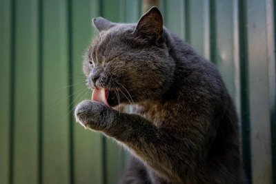 Холодные выходные в Иркутске: прогноз синоптиков