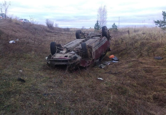 Пьяный водитель опрокинулся в кювет под Касимовом | ya62.ru