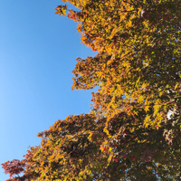 Аватарка Арина