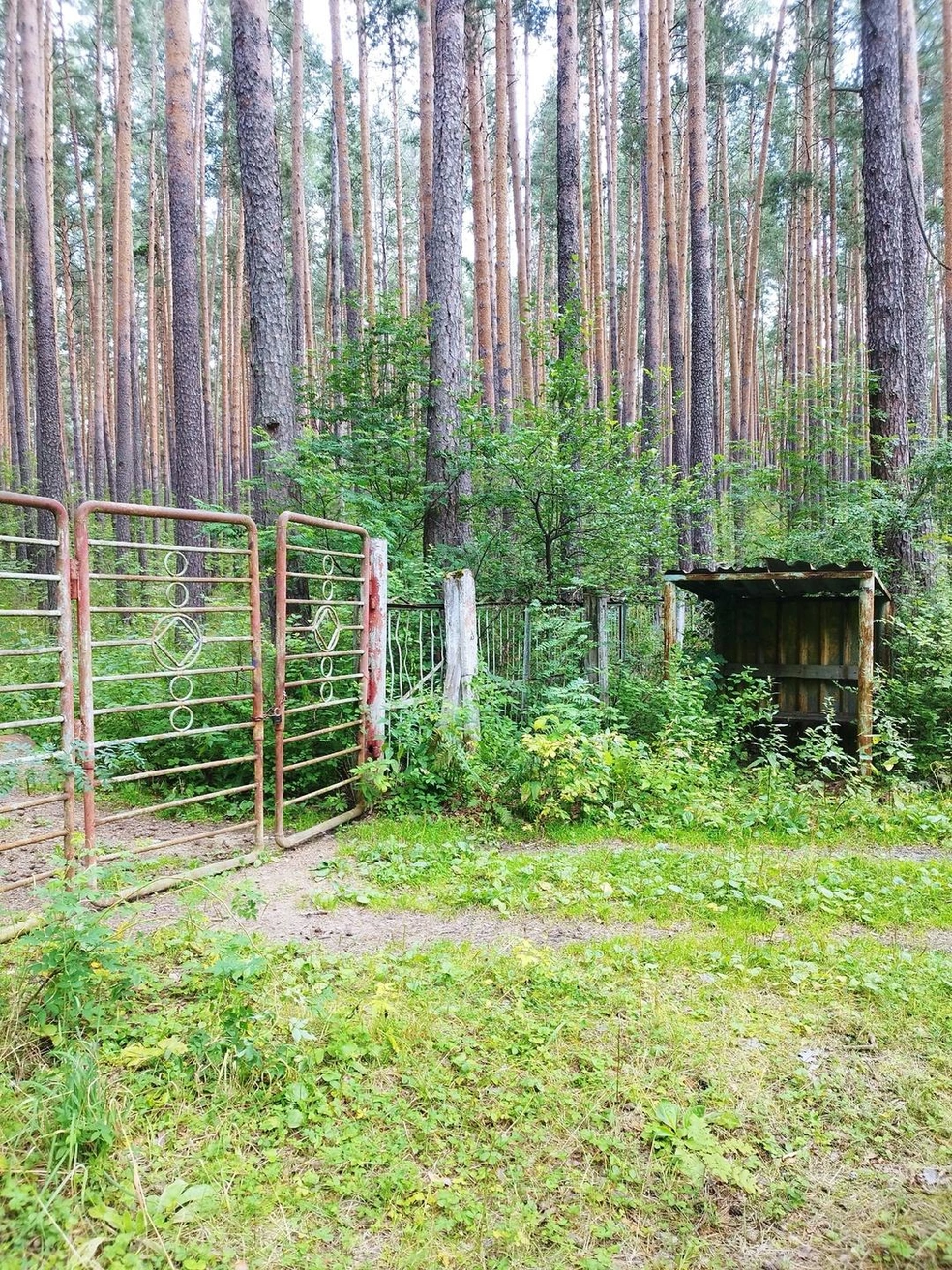 Эти ворота помнят несколько поколений пионеров | Источник: ДОЛ «Голубой Огонёк» / vk.com