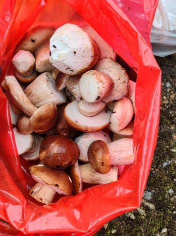 Источник: Александр Обрядин