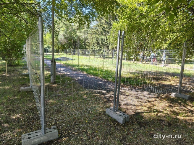 Источник: www.city-n.ru