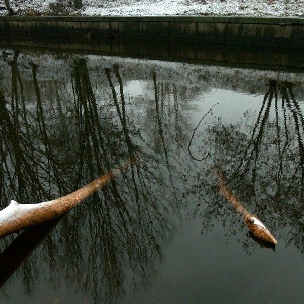 Источник: Павел Глазков / Каждой твари по паре