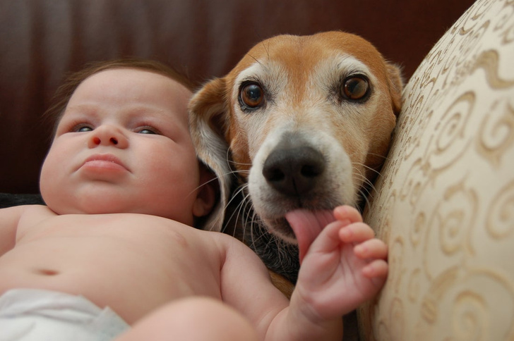 маленький ребёнок и собака в доме