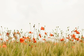 Тест: Какое вы явление природы?