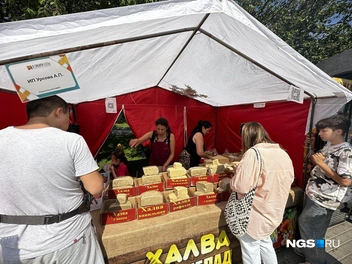 Халву продают с добавлением кокоса, кунжута и даже мака | Источник: Павел Пешков / NGS.RU