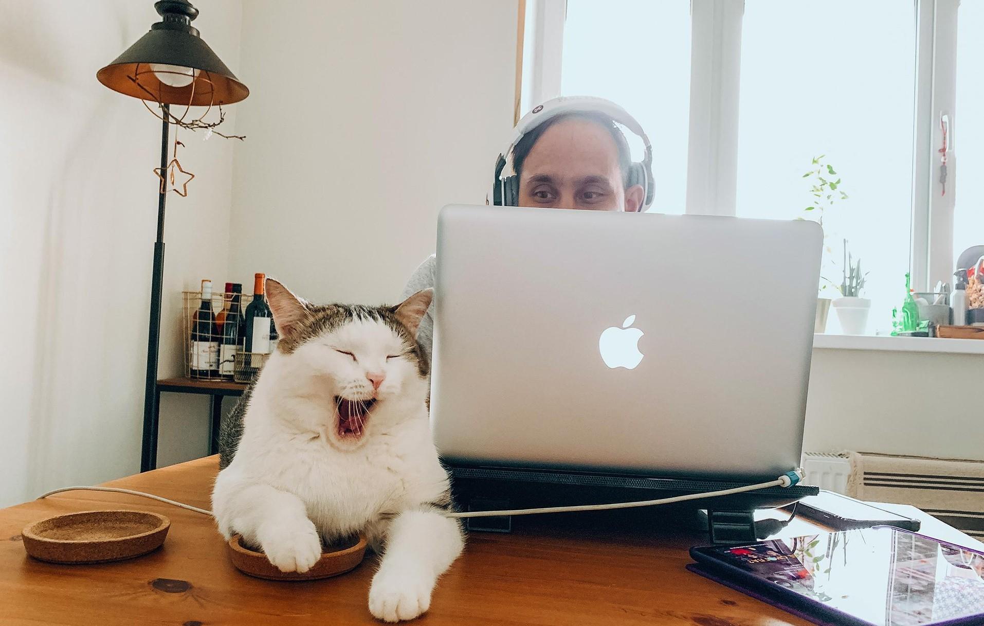 «Подняли с 5 до 17%!»: крупный банк резко изменил тюменцам ставку по льготной ипотеке — почему