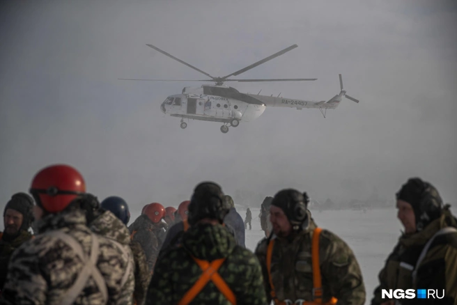 Общая площадь лесов Новосибирской области составляет 6686,4 тыс. га | Источник: Александр Ощепков