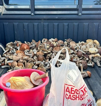 Жарёха будет знатная | Источник: читатель «Чита.Ру»