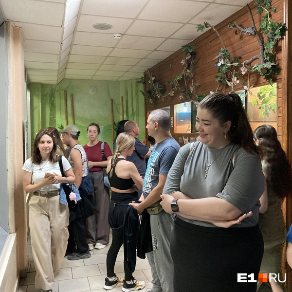 Источник: E1.RU