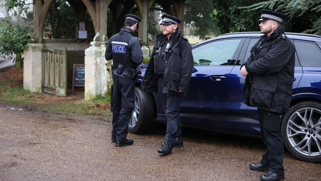 Полиция Темз-Вэлли запланировала поездку для допроса американских родственников. | Источник: MEGA
