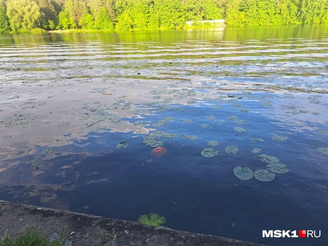 В воде плавает оранжевая каска | Источник: Арина Майорова / MSK1.RU