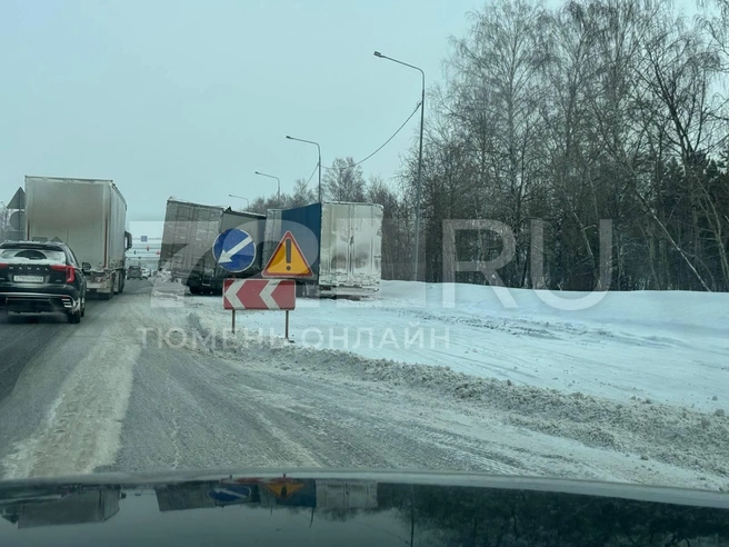 Источник: 72.RU