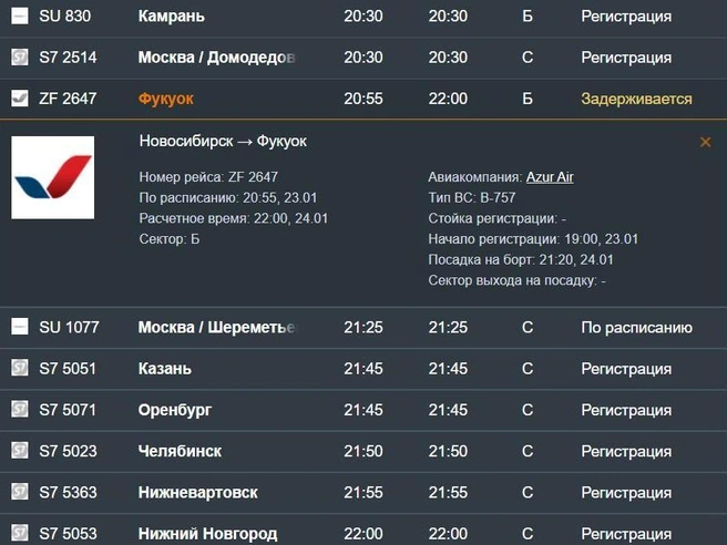 Рейс отложили на целые сутки | Источник: Аэропорт Толмачево / официальный сайт