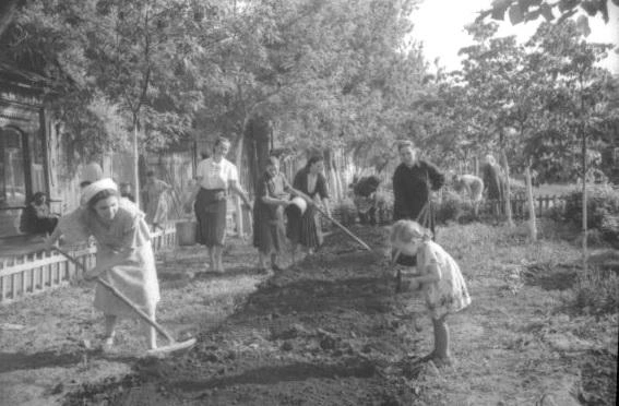 Сажать цветы на Чапаевской вышли все: от мала до велика. 1955 год | Источник: фотофонд Самарского областного государственного архива социально-политической истории