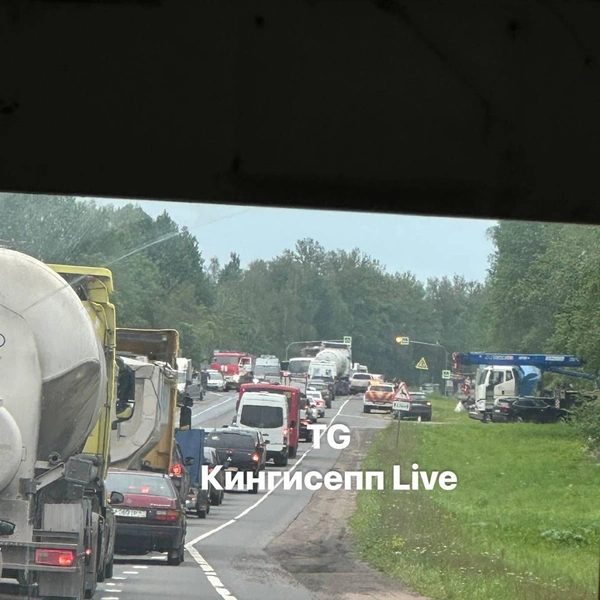Источник: Кингисепп | Live / Телеграм