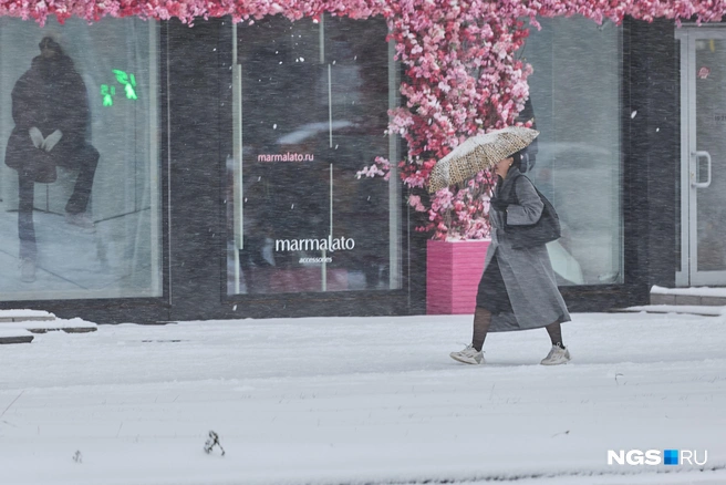 Зима постепенно приближается | Источник: Александр Ощепков / NGS.RU