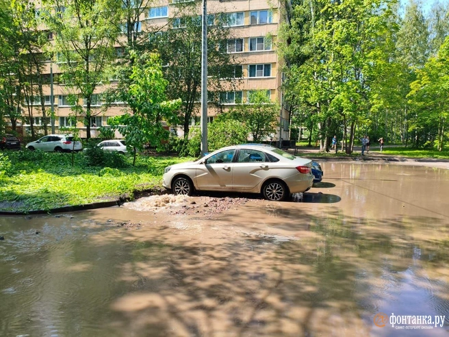 В Петербурге из-за прорыва трубы образовался девятиэтажный фонтан. Пострадала машина | Источник: читатель «Фонтанки»