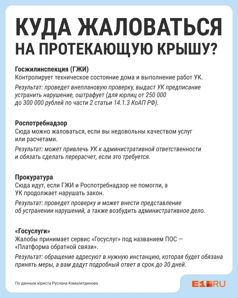 Сохраните картинку или перешлите тем, кто часто сталкивается с подобной проблемой | Источник: Филипп Сапегин / E1.RU