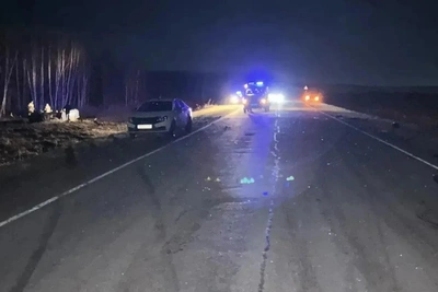 Трое погибли в ДТП с лошадью на трассе в Красноярском крае