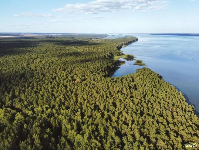 Вокруг сплошной лес | Источник: Макс Ульянов / 2gis.ru