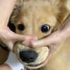 userpic__svyatslmaxmc