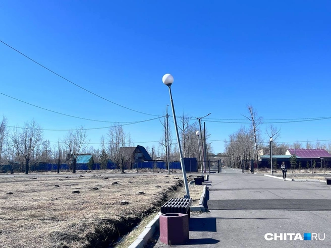 Источник: Александр Хамраев / CHITA.RU