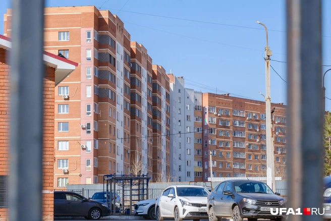 Источник: Булат Салихов / UFA1.RU