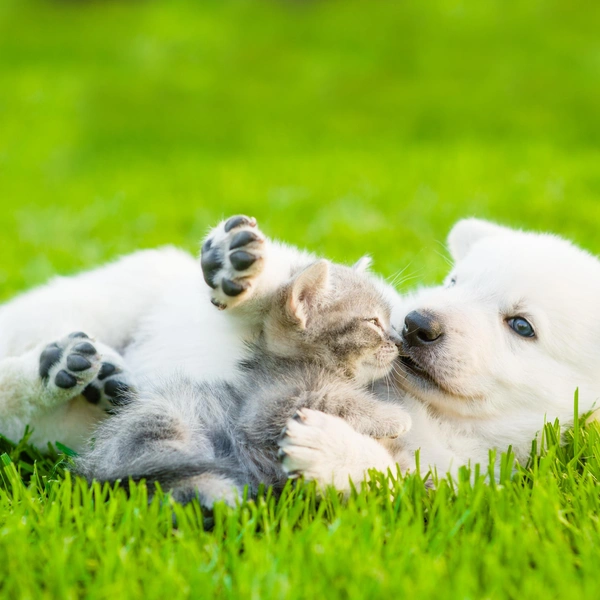 Источник: Shutterstock/Fotodom.ru
