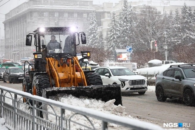 Источник: Александр Ощепков / NGS.RU