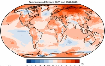 2020 год стал самым жарким за всю историю наблюдений