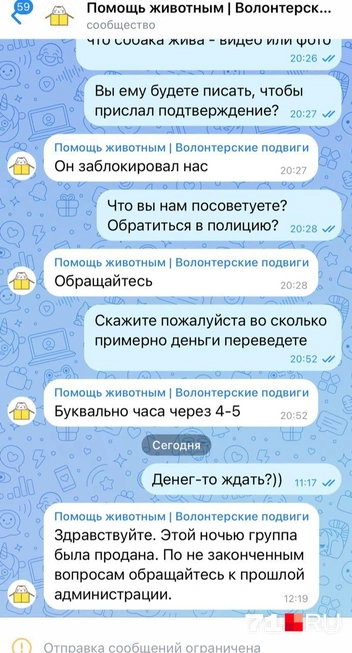 «Волонтеры» даже сами посоветовали обратиться в МВД | Источник: личный архив Юлии