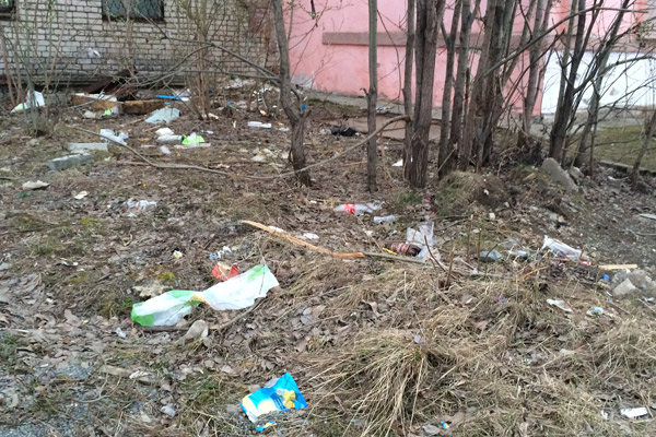 На санитарную уборку у городской администрации остается около 2–3 млн рублей, так что город может себе позволить только пять дворников на всю Салду.