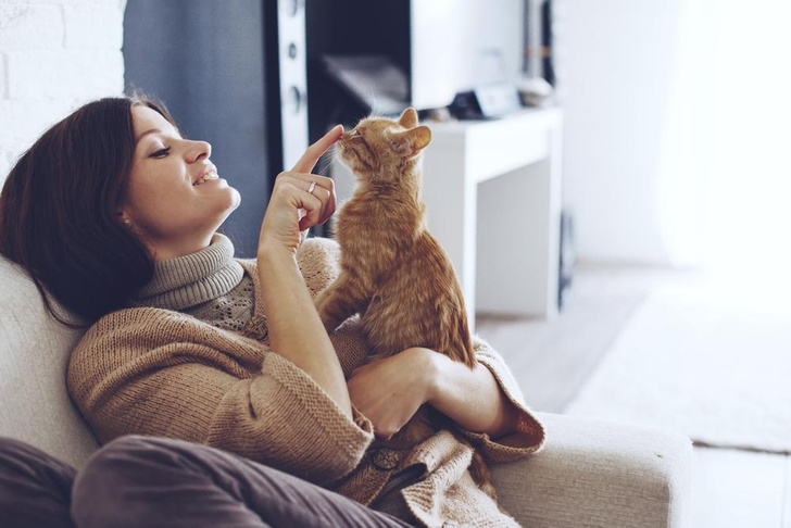 Как правильно извиняться перед кошкой: 7 шагов к примирению