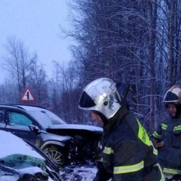 Источник: ЛЕНОБЛПОЖСПАС