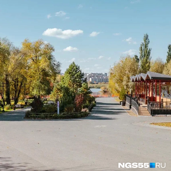 Проход к Иртышу | Источник: Кирилл Башинский / NGS55.RU