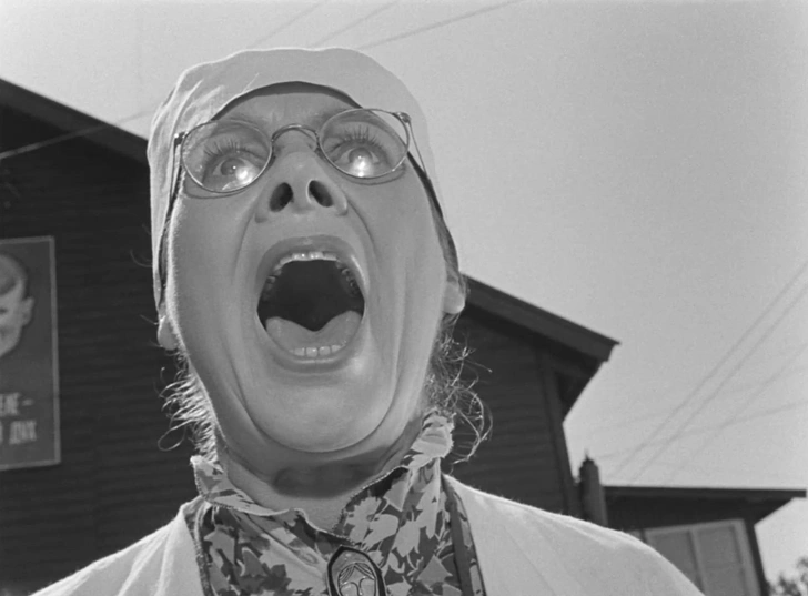 Источник: фильм «Добро пожаловать, или Посторонним вход воспрещен» (1964)