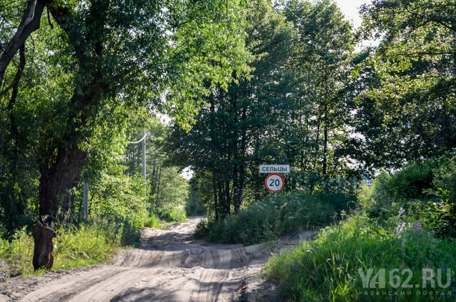 Дорога Сельцы