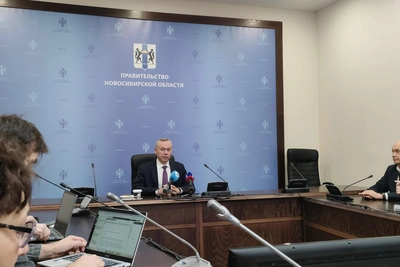 Мошенники предлагали деньги за сохранение скота в Новосибирской области