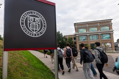 В Cornell готовят вотум недоверия руководству