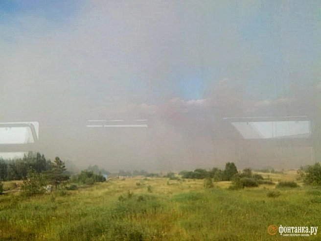 Дым от горящих полей продолжает окутывать юг Петербурга. Жители Купчино жалуются на едкий запах (фото) | Источник: читательница «Фонтанки» Людмила