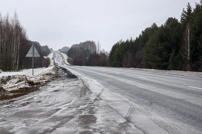 Deputy Minister of Nizhny Novgorod Forestry Injured in Accident